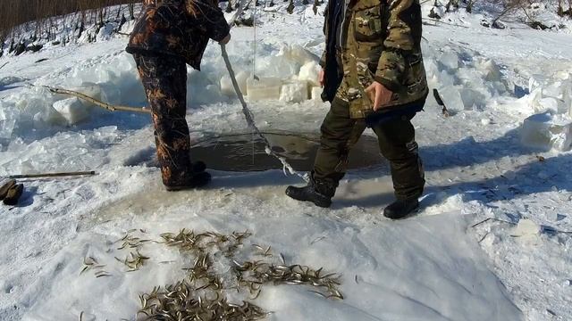 Зимняя Рыбалка На Амуре Рыбалка на паук. Корюшка 2020. смотреть онлайн