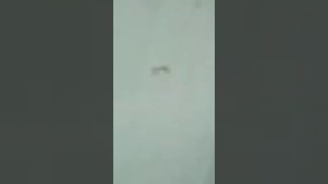 Азизов Хигматулло смотреть онлайн