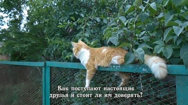 Презентация сборника сказок 