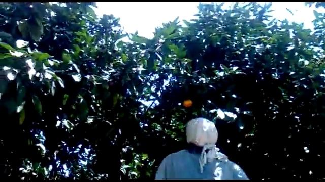 Поселок Пшап Абхазия смотреть онлайн