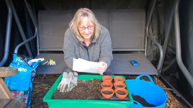 #143 Sowing Sweetpeas A Bit Differently смотреть онлайн