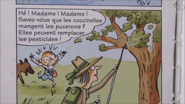 Книга для чтения с детьми на французском 