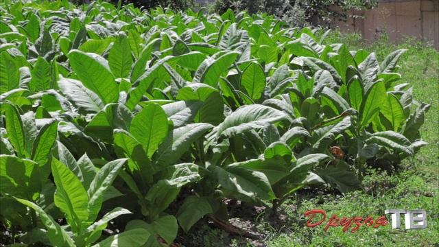 Андорра, что нужно знать о стране? смотреть онлайн