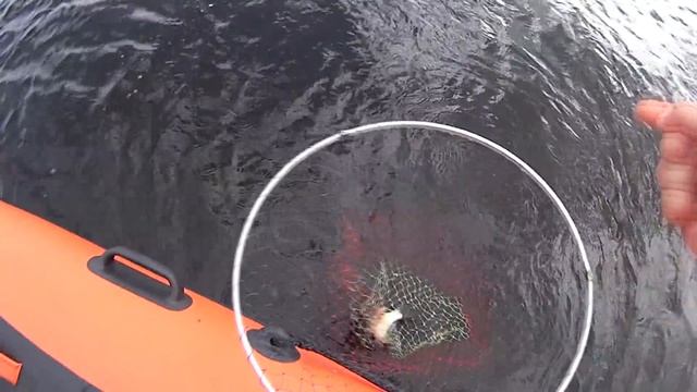 Ловля леща на "ЯЙЦА" осенью. Волга. смотреть онлайн