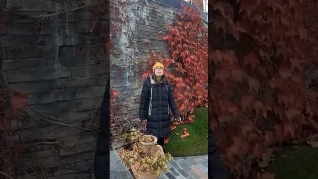 Алексей Плещеев "Осень наступила" читает Анна Пасларь смотреть онлайн