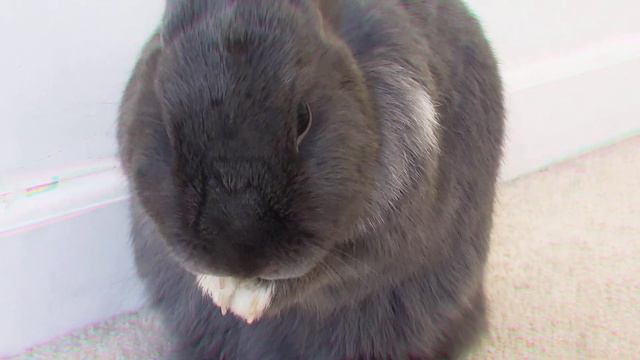 Benny cleaning his face смотреть онлайн
