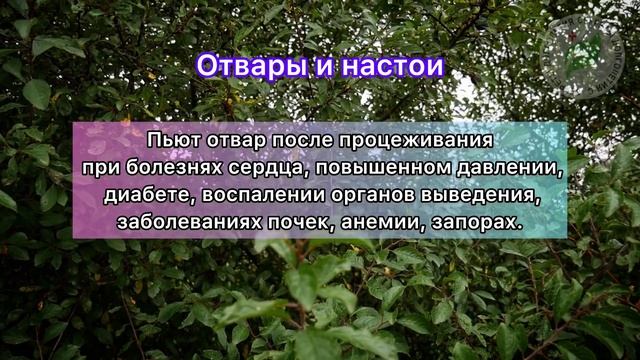 Неделю пил СОК ГОЛУБИКИ! И Вот что ПРОИЗОШЛО с моим ОРГАНИЗМОМ смотреть онлайн