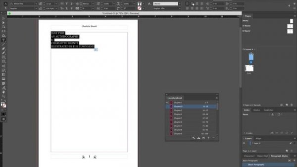 ART 316 - Book Design Project, Setup 2