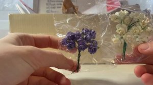 Посылка от Schleich dogs tv распаковка