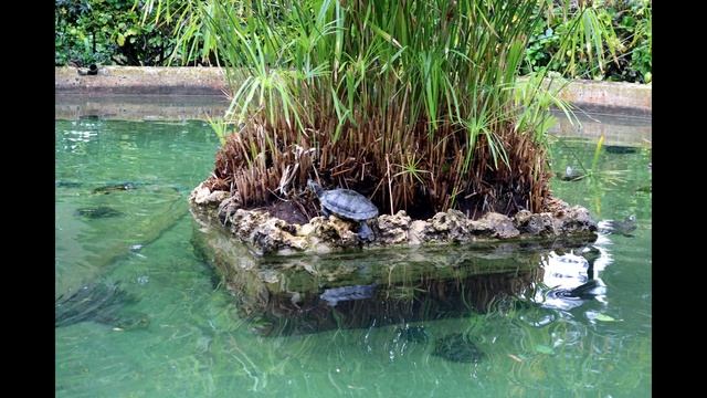 San Anton Gardens | Malta смотреть онлайн
