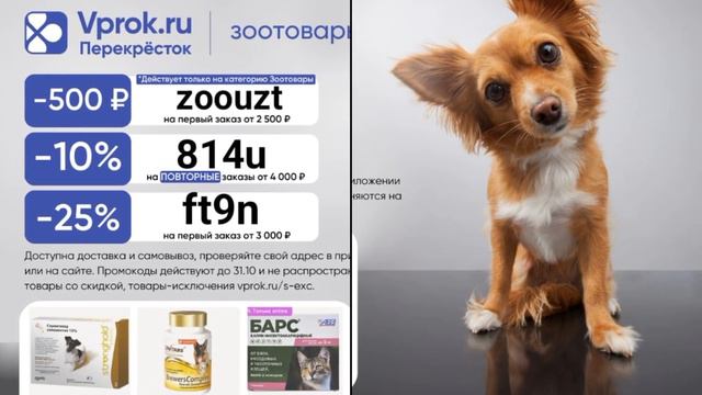 🐶 Как не искать корм для питомца по разным сайтам? смотреть онлайн