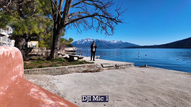 DJI Mic 1 Vs. Mic 2 As Standalone Recorders: Which Sounds The Best With Pocket 3?