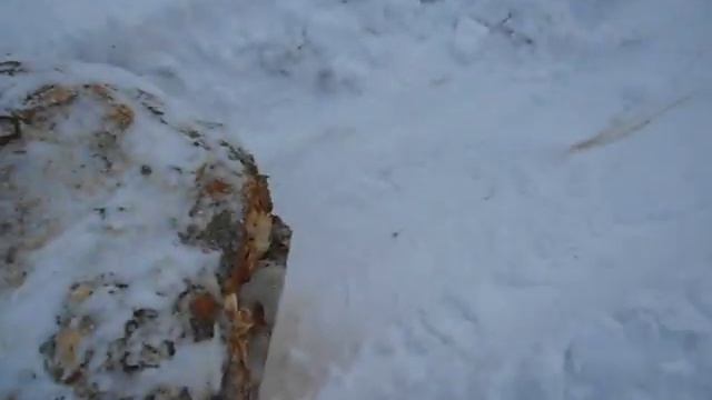 Сувель дома!!! смотреть онлайн