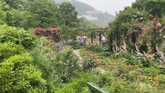 #yeyelights/AKAO ROSE GARDEN ALA HARDEN NI EVA AT ADAN смотреть онлайн