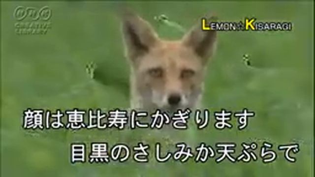 恋の山手線 смотреть онлайн