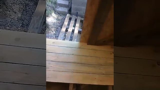 ? Дача. Туапсе 05.08.22 ? смотреть онлайн