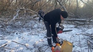 Пилим дрова в лесу stihl-180  (как всегда тестируем новые цепи )Конец сезона