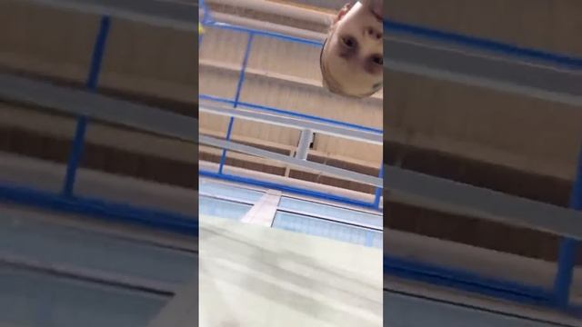 СК Нефтяник спортзал 2 часть смотреть онлайн