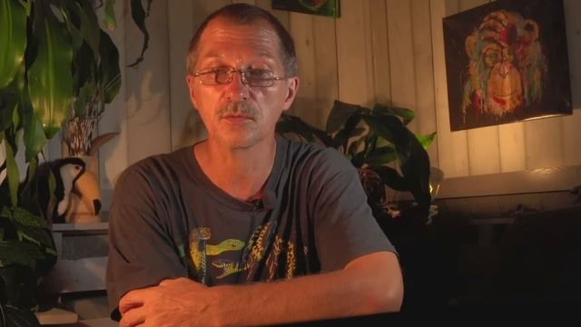 Зачем эти странные люди занимаются животными? смотреть онлайн