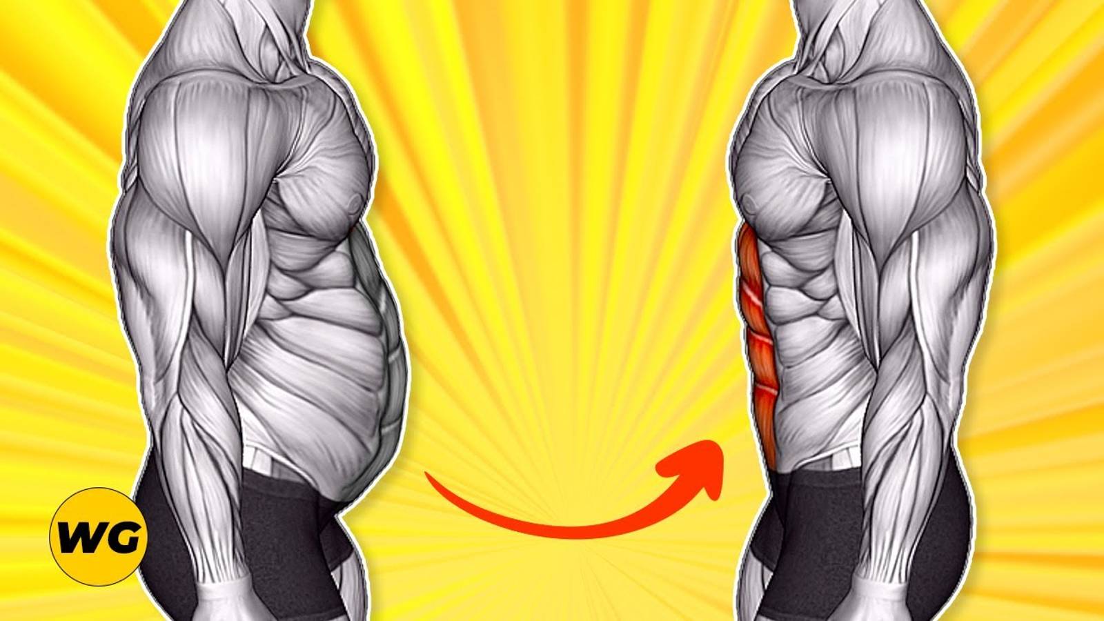 ТОП-8 упражнений для плоского живота для мужчин (получите плоский живот дома). смотреть онлайн