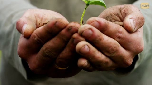 Подтверждённый факт! Расстояние между землёй и луной ежегодно изменяется смотреть онлайн