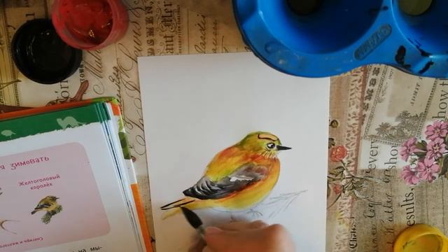 Видео-урок по рисованию: Желтоголовый королёк. Детская гуашь. #Рисование_для_всех смотреть онлайн
