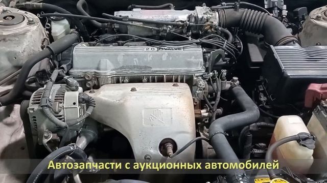 Аукционный автомобиль из Японии TOYOTA VISTA (ТОЙОТА ВИСТА) / Двигатель 3S-FE, SV42 смотреть онлайн