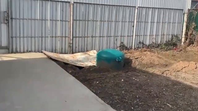 Скалолазы у нас. Чуть ли, не Кремлёвская дорожка. #vlog #югроссии смотреть онлайн