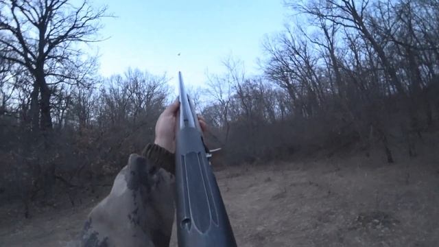 Готовы к сезону на Вальдшнепа? смотреть онлайн