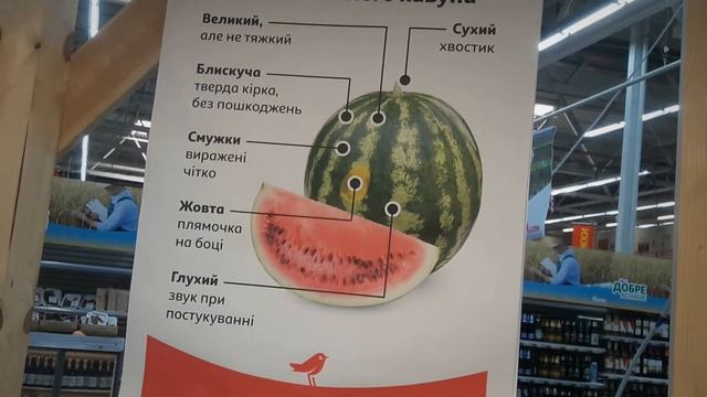 Как выбрать спелый арбуз и спелую дыню смотреть онлайн