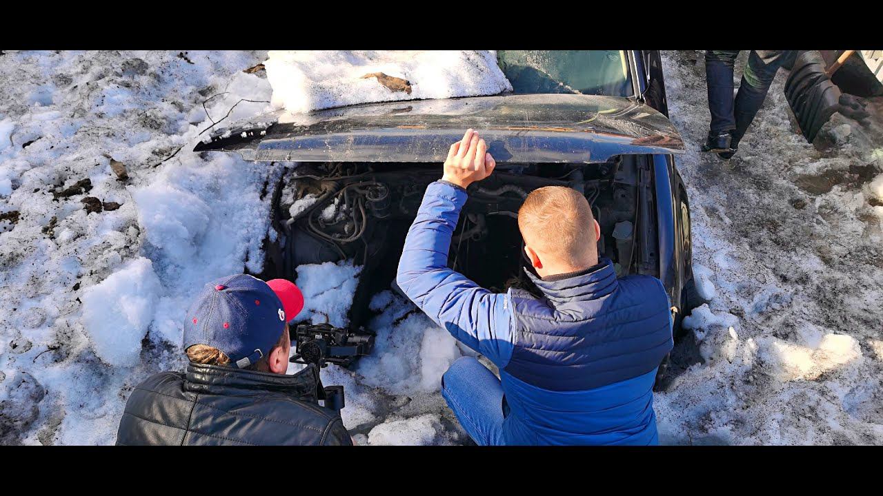 BMW гаражного хранения и два подснежника. Поиск проекта. смотреть онлайн