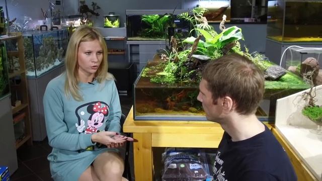 Евгения Моисеева о Питерских акваскейперах, школе аквадизайна и московской птичке смотреть онлайн