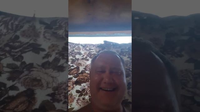 Отдых бухтарма(2) смотреть онлайн