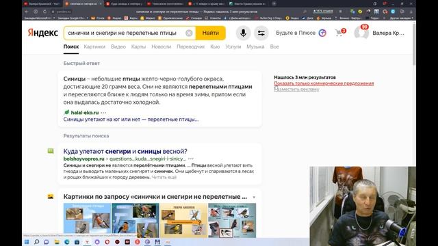 Куда улетают снегири и синички летом ? смотреть онлайн