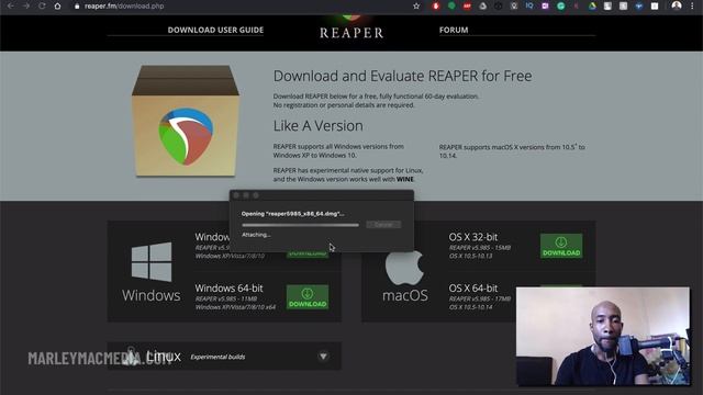 How to download and install Reaper смотреть онлайн