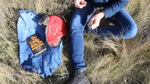 Д. Сэлинджер "Над пропастью во ржи" смотреть онлайн