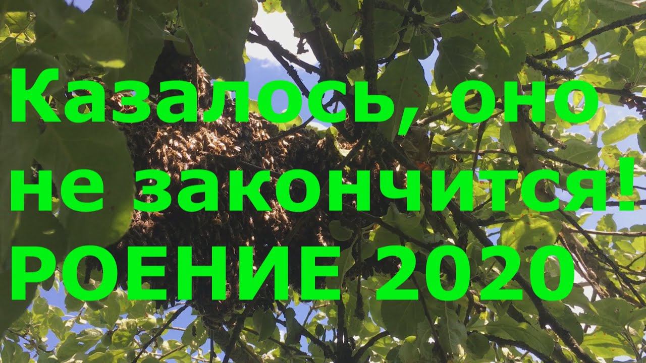Рои 2020 Большие, странные и огромные! смотреть онлайн