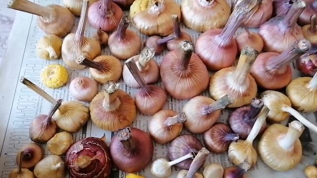 Гуляю ,готовлю салат ,мыльный эксперимент !