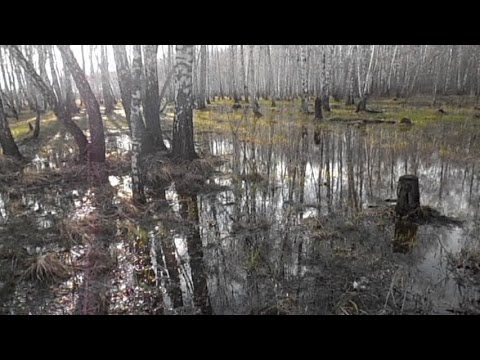 Родной край смотреть онлайн