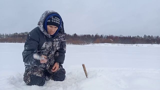 Оставляем снасти и они ЛОВЯТ САМИ! Супер клёв у лесной ИЗБЫ! Пора таёжной БАНЬКИ! смотреть онлайн