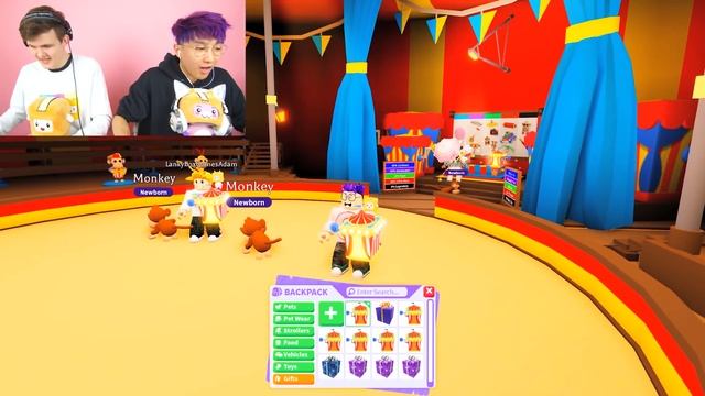 Can We Hatch The RAREST PET MONKEY EVER In ADOPT ME!? (100 LEGENDARY MONKEYS) смотреть онлайн