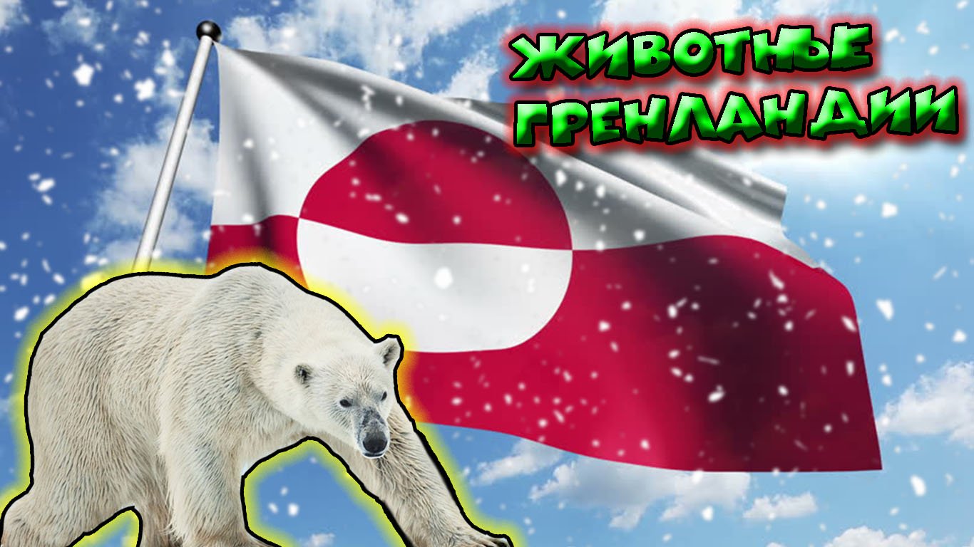 Животные Гренландии смотреть онлайн
