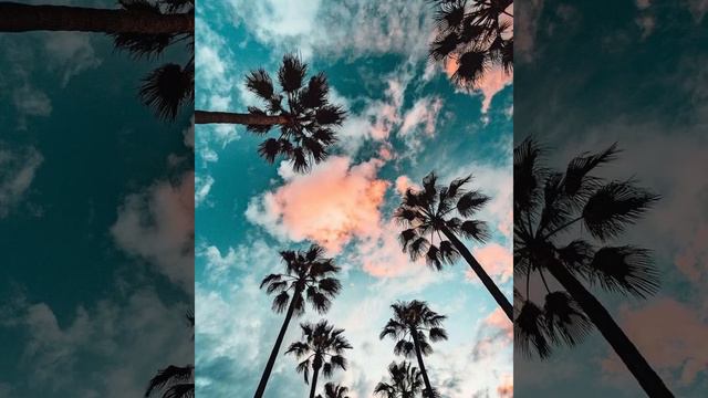 Janaga - Скажи мне / Asa Du Remix 😍💙