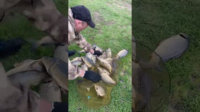 Платная рыбалка, пруд Черноморец 19.04.22. Улов рыбака. смотреть онлайн