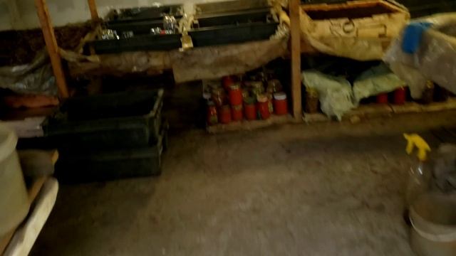 Способы размножения ежевики смотреть онлайн