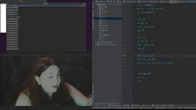 Let's Build an OS: Day 4 - Can We Get Doom Running our our OS? (Part 1) смотреть онлайн