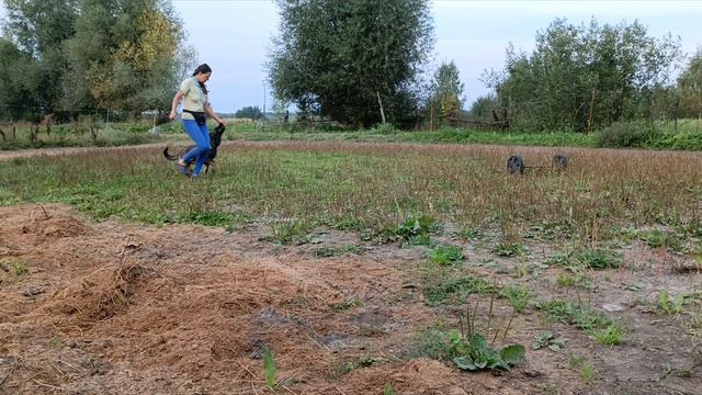 InShot_20240901_215125498.mp4 смотреть онлайн