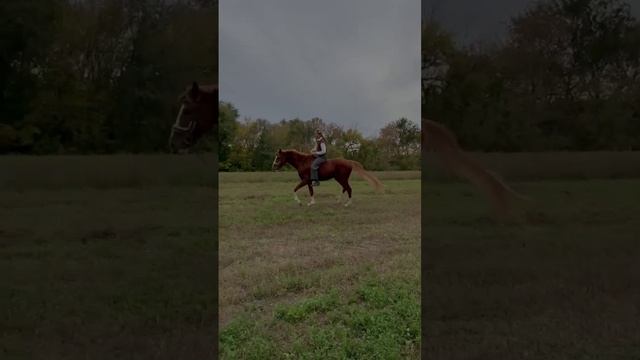 Настоящие друзья! смотреть онлайн