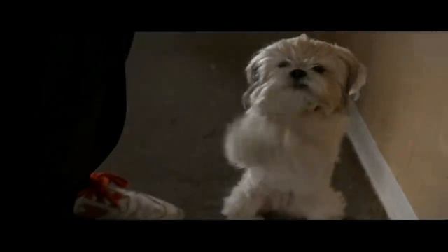 Ace Ventura: Pet Detective : We're going Downtown - How can I ever repay you? смотреть онлайн