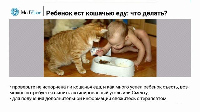 Ребенок ест кошачью еду: что делать? смотреть онлайн
